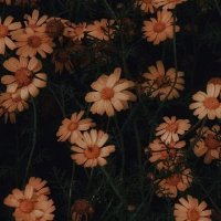 Alaa🤍 (@luka66018431ya1) Twitter profile photo