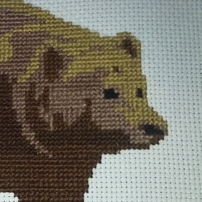 D52463221's profile picture. 