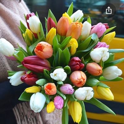 jeanetteortiz3's profile picture. Cristiana, valoro la justicia, las personas honestas, sinceras, compasivas y que tienen claros los limites en toda situación.