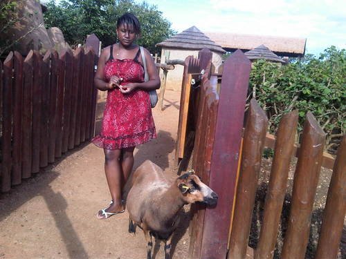 teemuza's profile picture. 