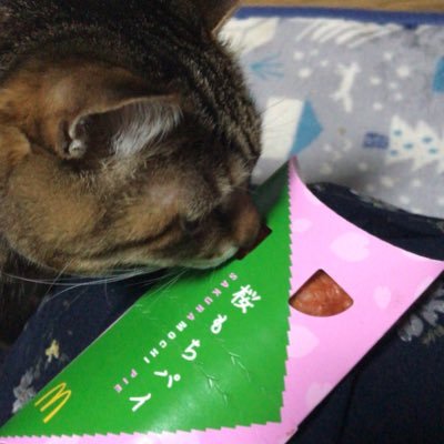 曇り空さんのプロフィール画像