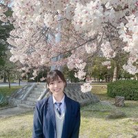 とよやますそすき (@cvs3telastidxln) 's Twitter Profile