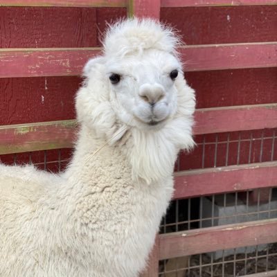 BLTMom2's profile picture. 