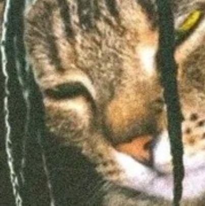 Silver85257731's profile picture. Nothing interesting