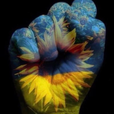 coolmomT's profile picture. Army Mom. Gamer. Proud American. Liberal Democrat #StandWithUkraine -Make racism wrong again! Zero tolerance for stupidity. no DMs unless you are my sister 😁