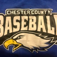 Eagles Baseball (@cceagles_bsb) 's Twitter Profile