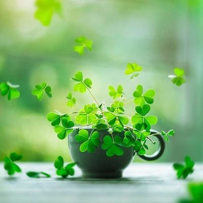 abdul2shafi4u's profile picture. 😉 Unexpressive Love 😍