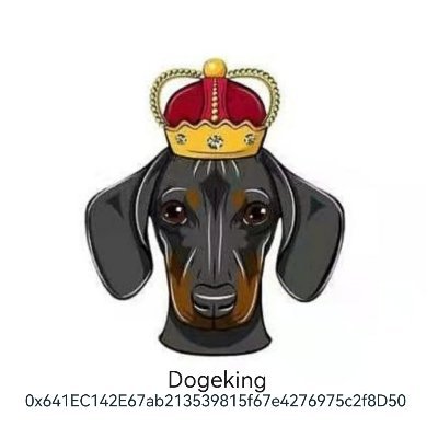 Dogekin - Xu