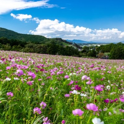 こちらは阿蘇の玄関口、西原村☀️　みなさまの旅が、お出かけが、いつもより少しだけ幸せなひと時となるような情報を、お伝えできればと思っています✨
あなたにいちばん近い“村”でいたい🌷 お付き合いよろしくお願いします☺️
HP→https://t.co/UD2VUIrOCM