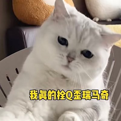 姐妹们，互关🥰一起磕cp