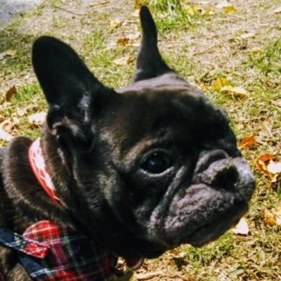 YwA5CGccNZY3KV1's profile picture. 北村晴男,武内明徳,高橋洋一,チャンネル推し。アンチ日本保守党の皆さん気にして頂きありがとう。日本保守党を精一杯応援していきます‼️