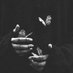 Saman (@smncapricorn) Twitter profile photo Saman (@smncapricorn) Twitter profile photo