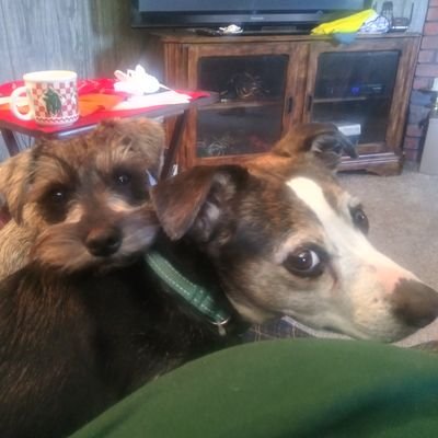TxTornado10's profile picture. 