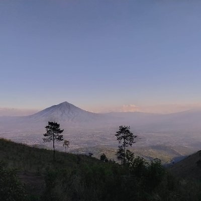 hanasashel's profile picture. 