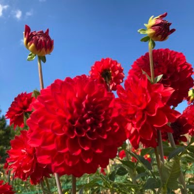 yu5614_'s profile picture. 会社と家の往復しかしない人生疲れた   一人暮らし暇ですねんw添い寝してくれる優しい人はどこにいるの？笑