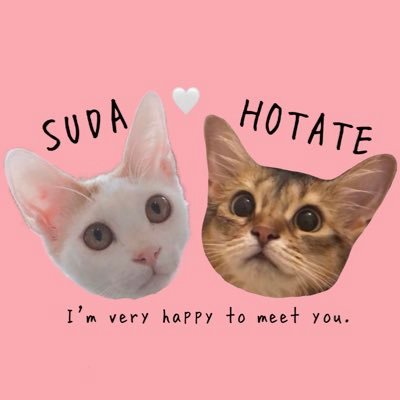 元猫カフェスタッフ2ニャン🐈 ホタテHOTATE (ほっちゃん)健気で甘えん坊な先住女子🎂17.7.29(6歳)🏠18.3.18〜🐈菅田SUDA(すだ)沖縄出身の優しい陽キャボーイ🎂20.7.29(推定3歳)🏠22.4.14〜 インスタ⇨https://t.co/8od7RH0kuO