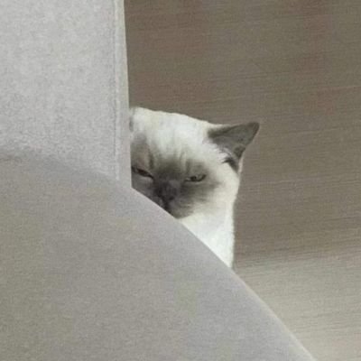 Perplexuuus's profile picture. .