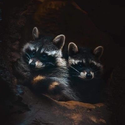 ckristiandaniel's profile picture. 