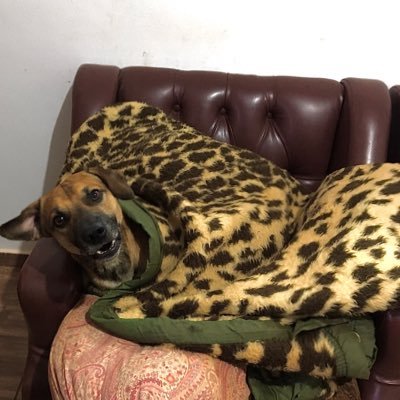 um cara que reativo esse negócio sem saber o porquê.