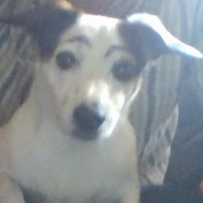 MarvinNeufeldd's profile picture. Nice toes