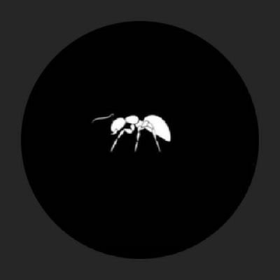 Guythemberg12's profile picture. 🐜🐜🐜🐜