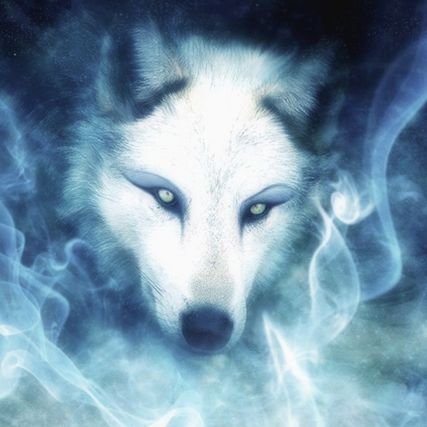 stalkingwo1f's profile picture. Pro-America, Pro-Truth, Pro-Constitution, Pro-God (Triune Godhead), Pro-2A, Pro-Life (ALL), Pro-Transparency. USAF Veteran,
Minister/Bible Teacher