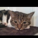 Bella McQueen - @DivaQueenBella - Twitter