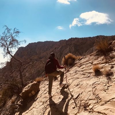 firoozshaht's profile picture. custum broker