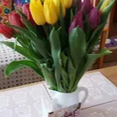 DianeBe00659862's profile picture. 