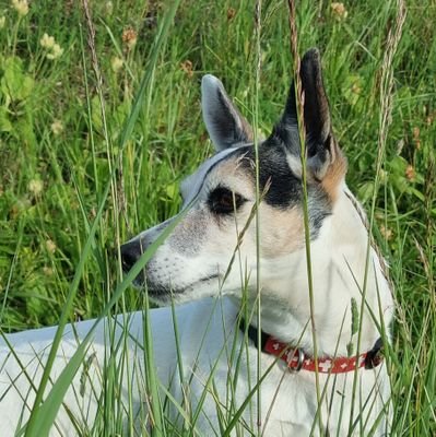 williams21's profile picture. 