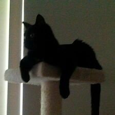 muffin3suzie2's profile picture. 