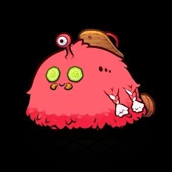AxieCrafts's profile picture. Axie - Ronin Native