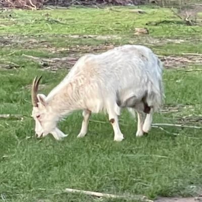 uwusftpstl's profile picture. 