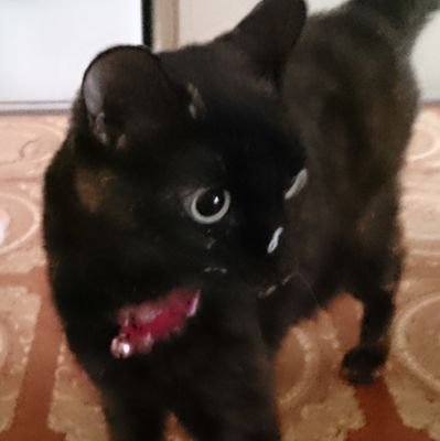 唯織さんのプロフィール画像