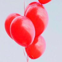 🎈 (@mopiko1212) 's Twitter Profile Photo 🎈 (@mopiko1212) 's Twitter Profile Photo