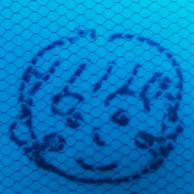 midoriiro_ura's profile picture. 主にMELOGAPPA応援用。ライブの度に深みにハマっていく🥒よろしくお願いします。