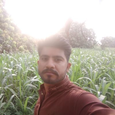 Shahbaz71314896's profile picture. Shahbaz
