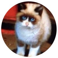 上級まりーぬ (@marycateyeram) 's Twitter Profile Photo 上級まりーぬ (@marycateyeram) 's Twitter Profile Photo