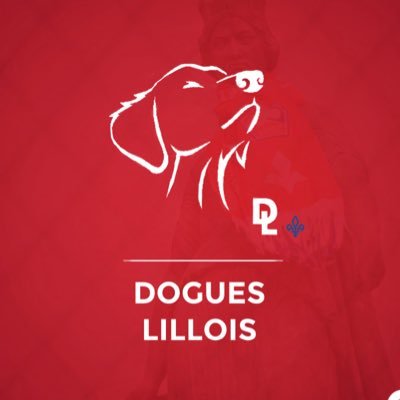 Dogues Lillois