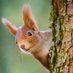 Secret Squirrel๐๐ค๐ (@vsecretsquirrel) Twitter profile photo Secret Squirrel๐๐ค๐ (@vsecretsquirrel) Twitter profile photo