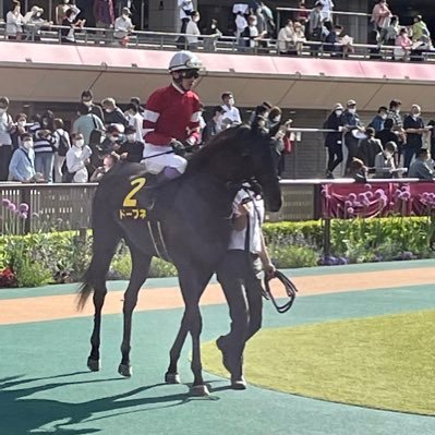 ウマ娘とか競馬用の垢 藤田晋オーナーの馬を中心に応援してます。基本的に箱推しだけど圧倒的最推しはジャングロくん