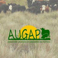 AUGAP (@augap_2016) 's Twitter Profile