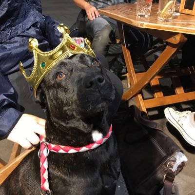 WhiteMastiff's profile picture. Afrutado y equilibrado