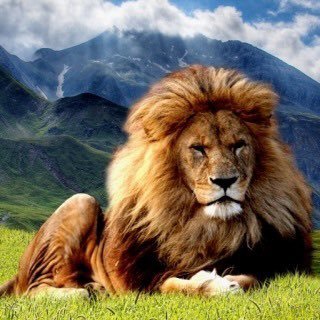 tsd136's profile picture. 