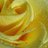 red_harper's profile image