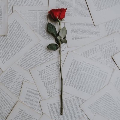 ridwanadeyemo's profile picture. I have a thing for aesthetics▪️Writer by impulse▪️Optimist▪️Ailurophile▪️Entrepreneur▪️From quiet corners, greatness grows. 🌷