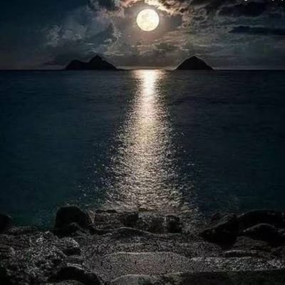 °°
و إنّي أُضِيءُ كُلمَا اقتَربتُ مِنك أكَثر يا الله فثبتنِي💙..