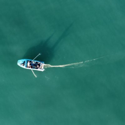 neuropassenger's profile picture. Digital Nomad