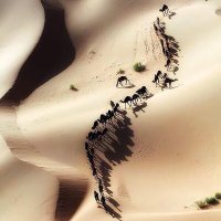 حسام (@kingzzab) Twitter profile photo