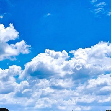いつも一人。自然の中を写真を撮りながら散歩してます。 日常の風景、自然、お花、開運系、パワースポット好きです。